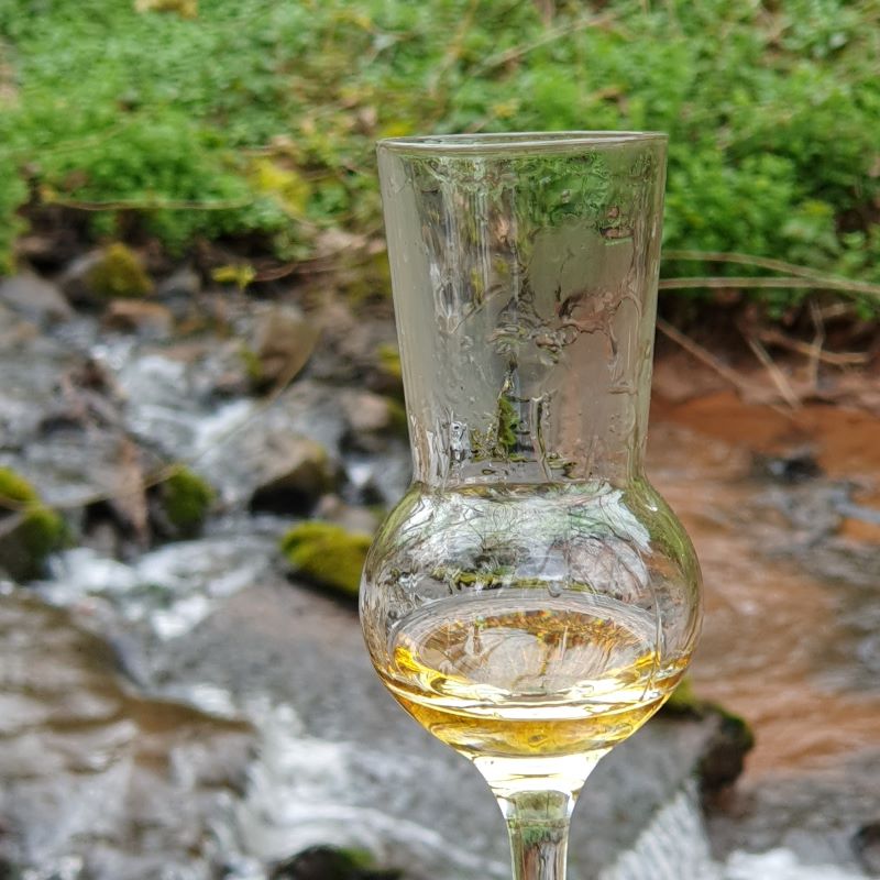 Whiskyseminar Glas-Bein