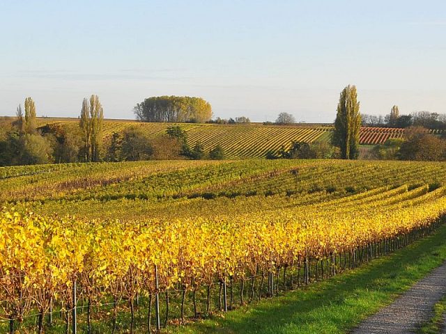 Guggemol: Herbstzauber