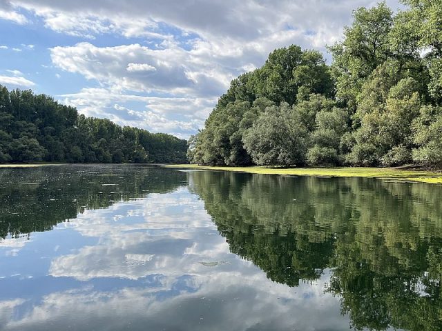 Guggemol: Das Schöne liegt so nah