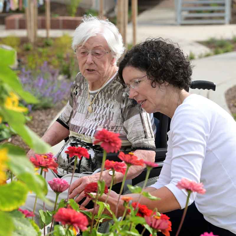 Miteinander unterwegs – Besuche für die Seele