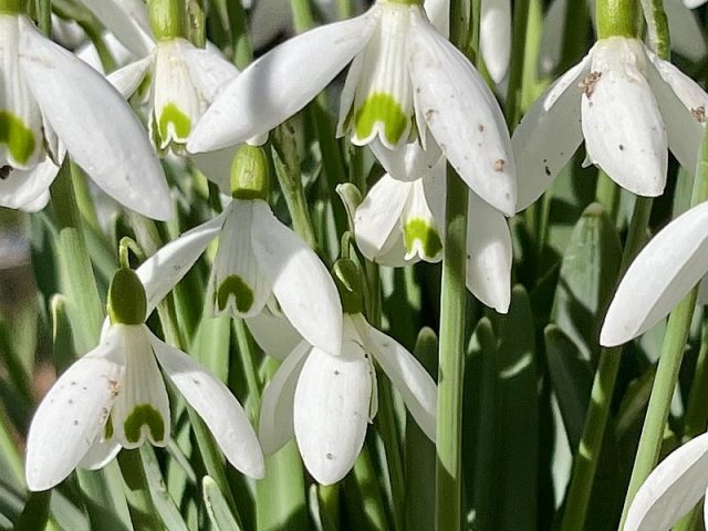 Guggemol: Der Kälte trotzen