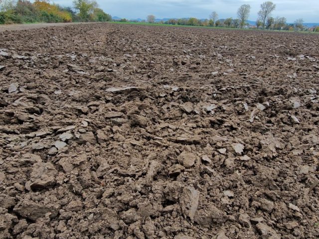 Guggemol: “Fette Erde”