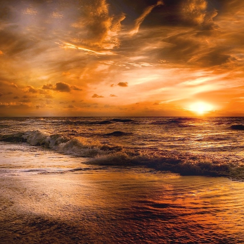 Guggemol: Eine Reise ans Meer