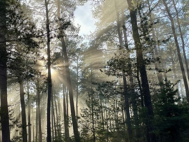 Guggemol: Nebel lichtet sich