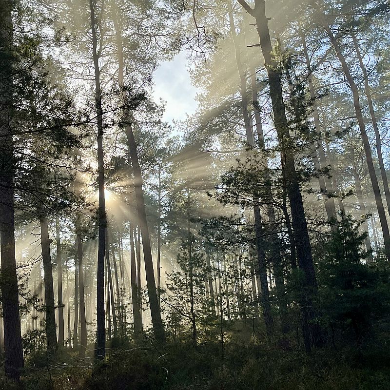 Guggemol: Nebel lichtet sich